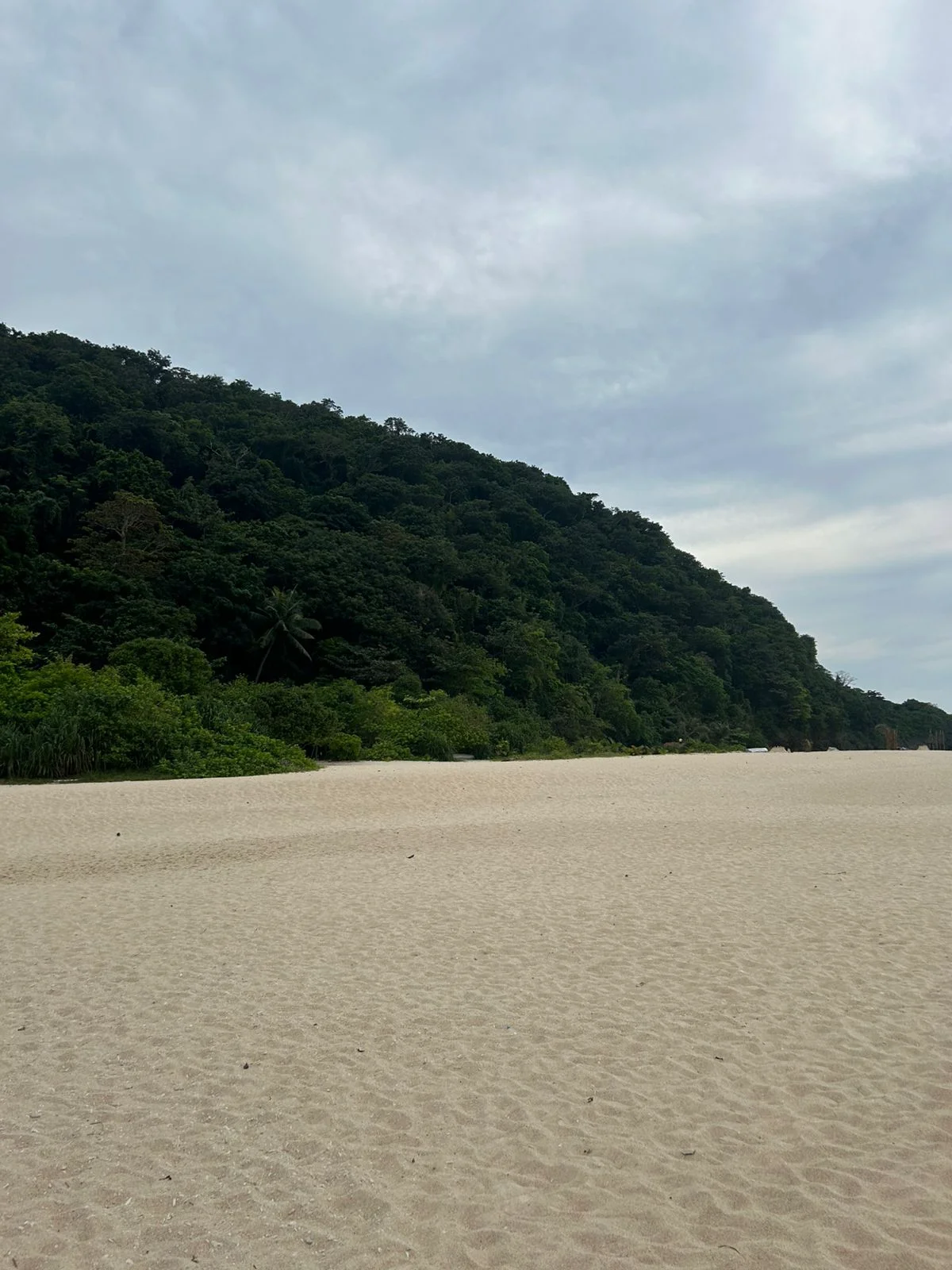 inbound4602017378614780331