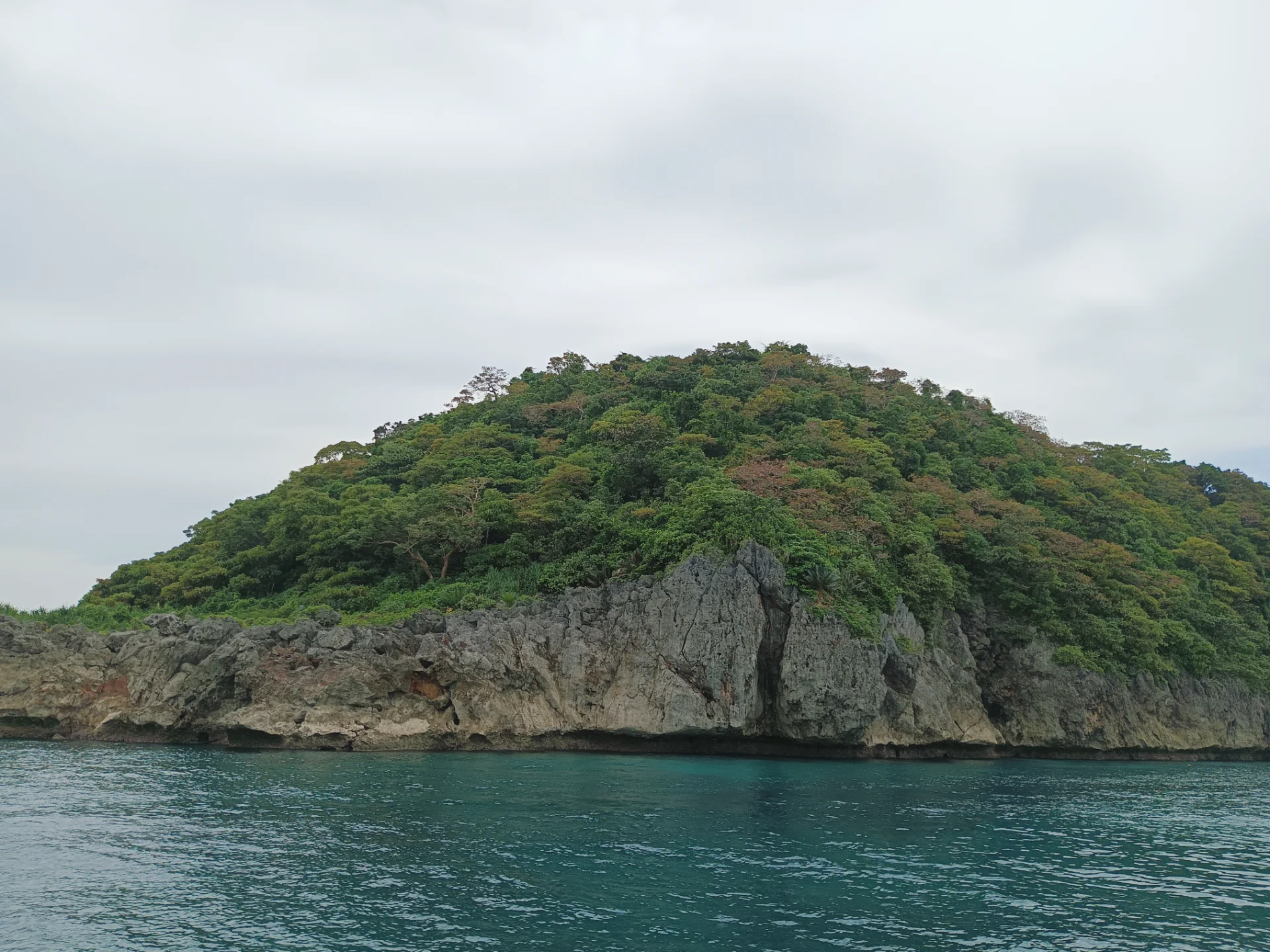 inbound6735086655039529754