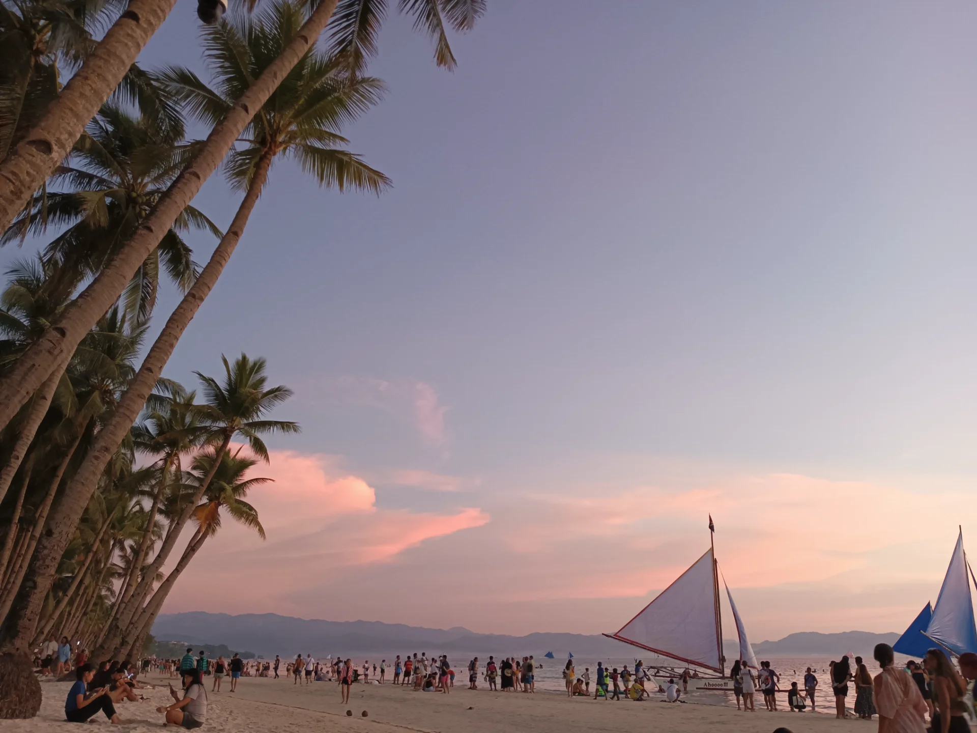 inbound6842288087279889778