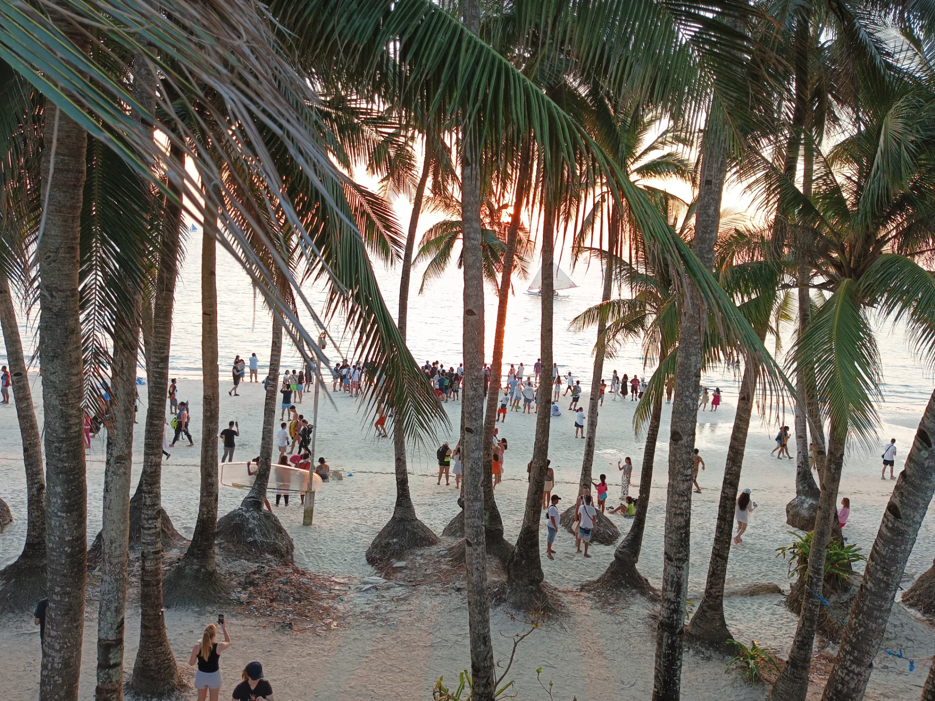 inbound4228609909420477793