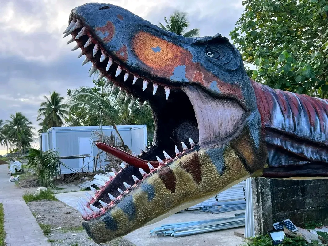 inbound5895974471435074248