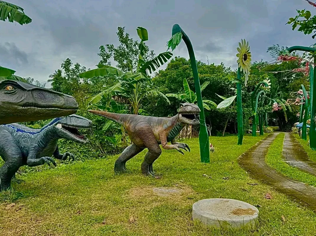 inbound4923452405902456066