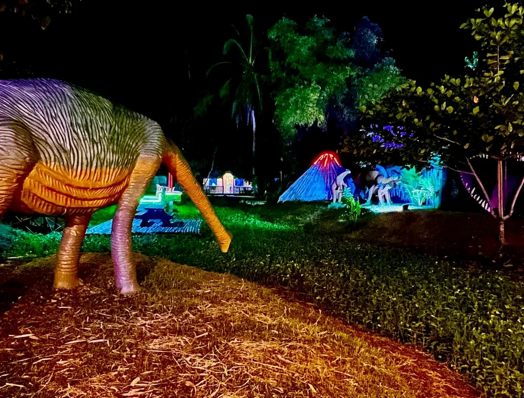 inbound6571228738738091930