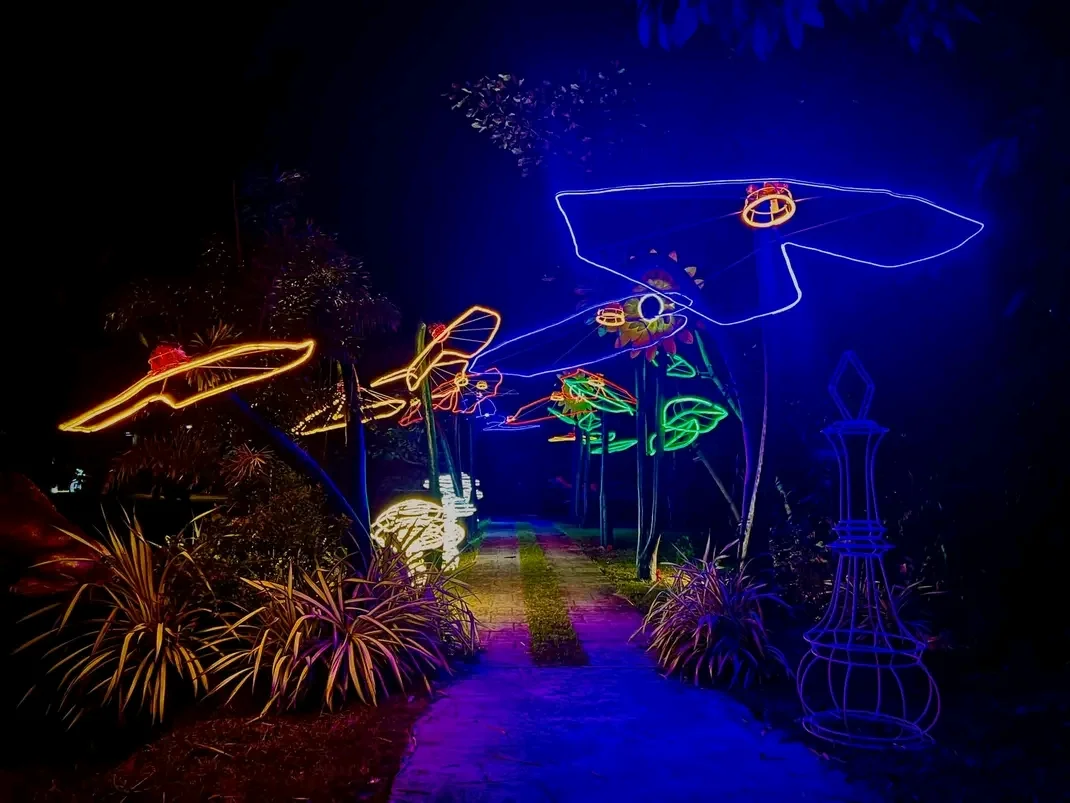 inbound7160878910027964854