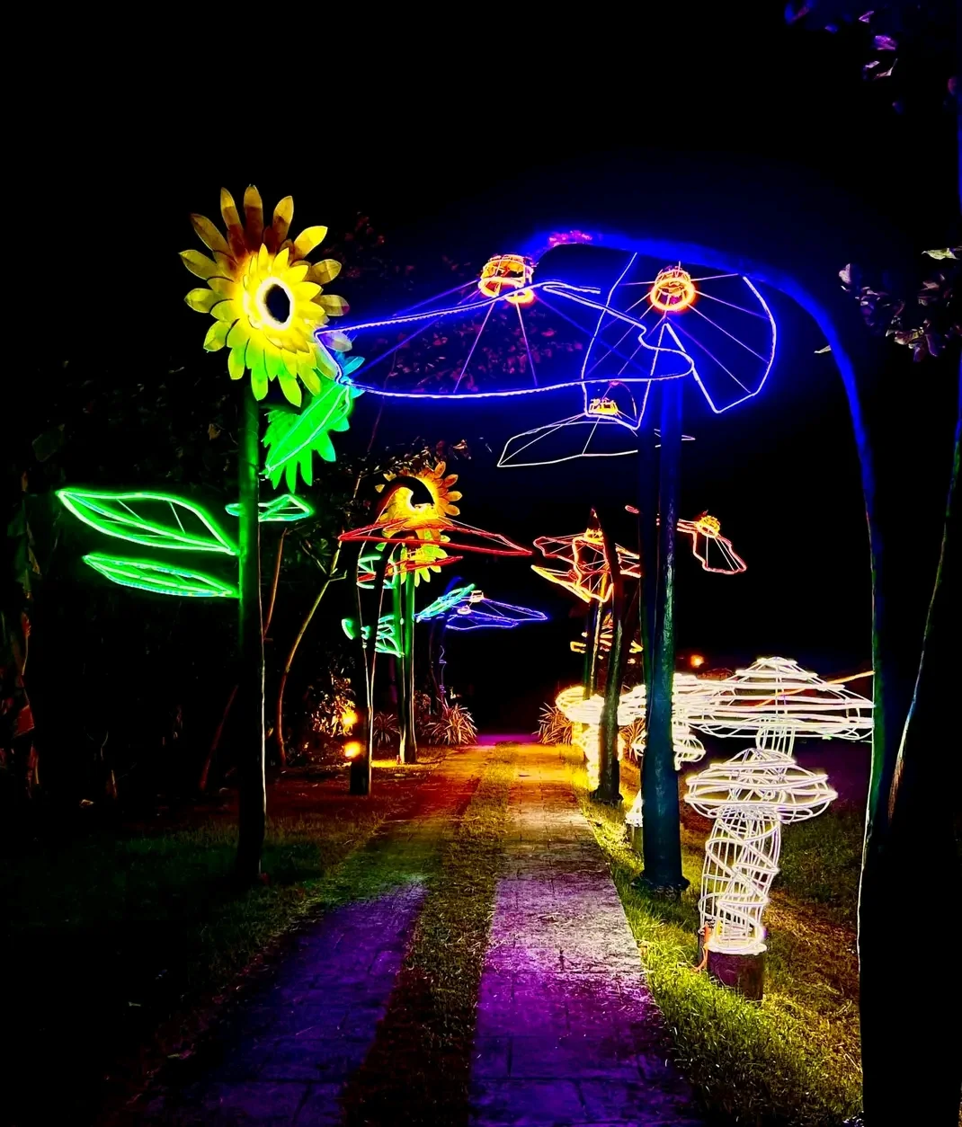 inbound4473541394621402135