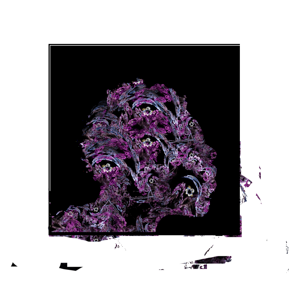 Iceblue portfolio work