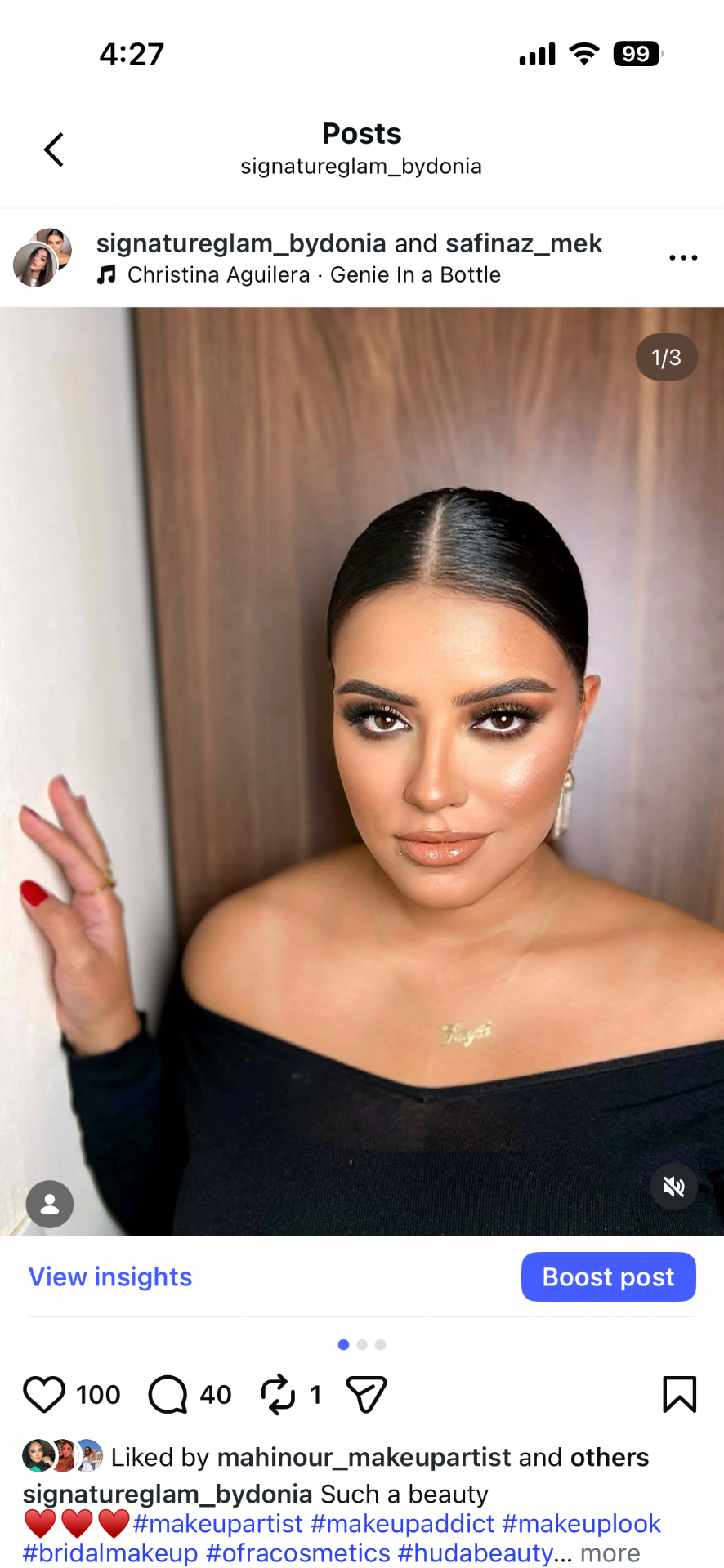 donia.labib2012 portfolio work