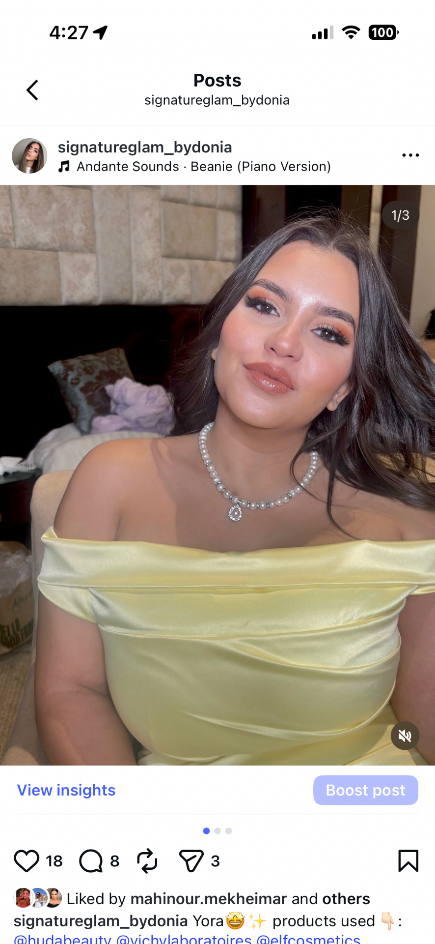 donia.labib2012 portfolio work