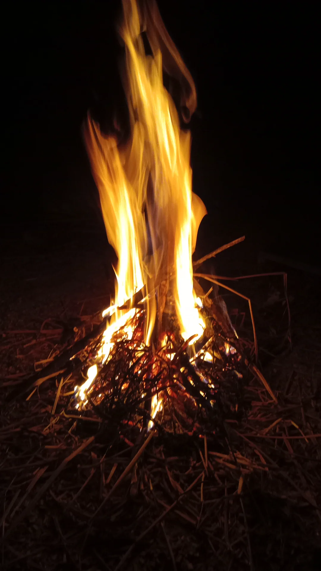 inbound8874499103641234935