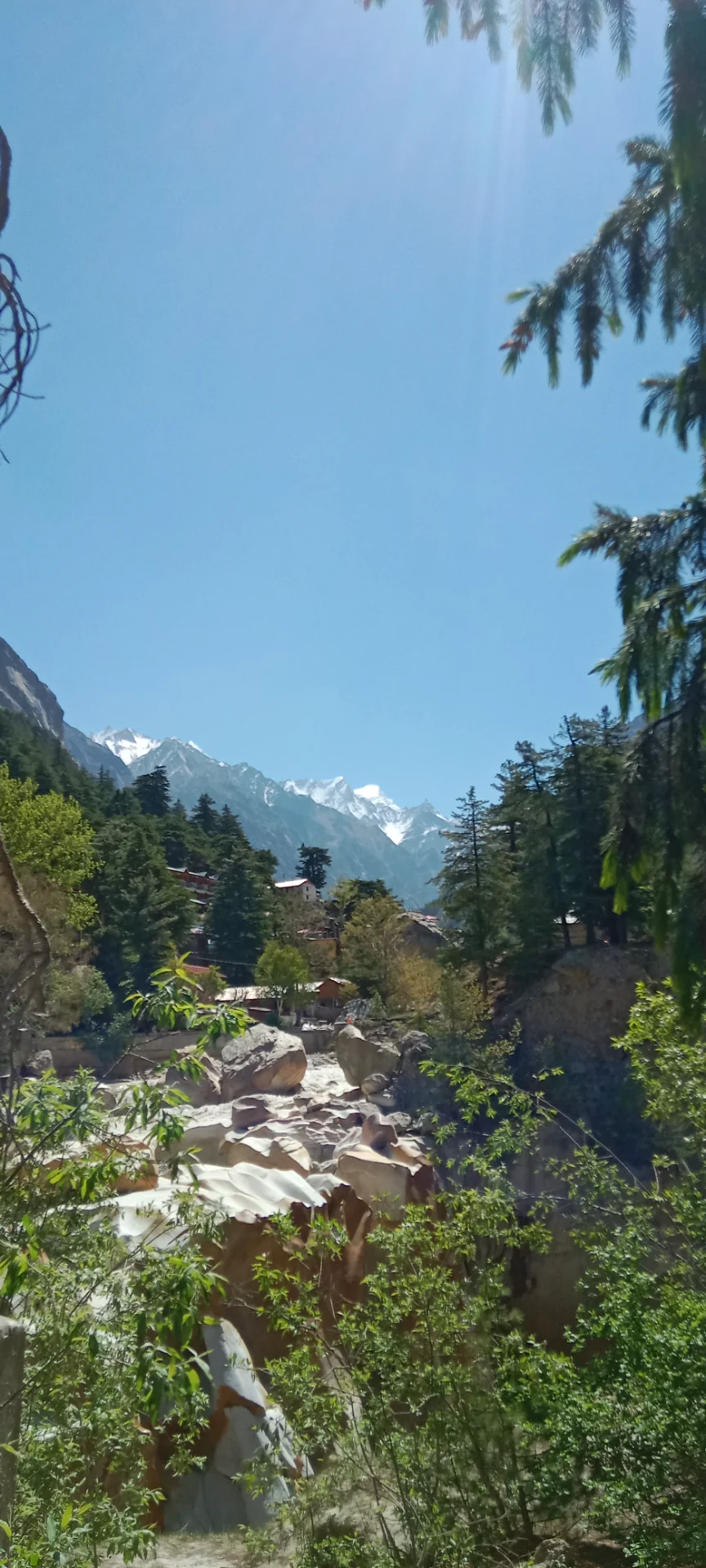 inbound1859927668668990965