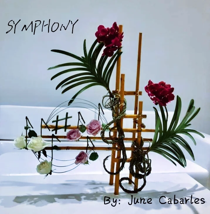 inbound6601190009616389455