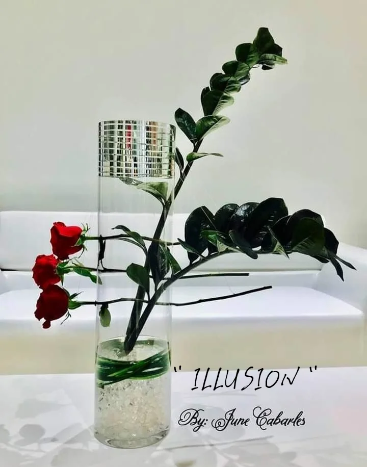 inbound3656893923888143206