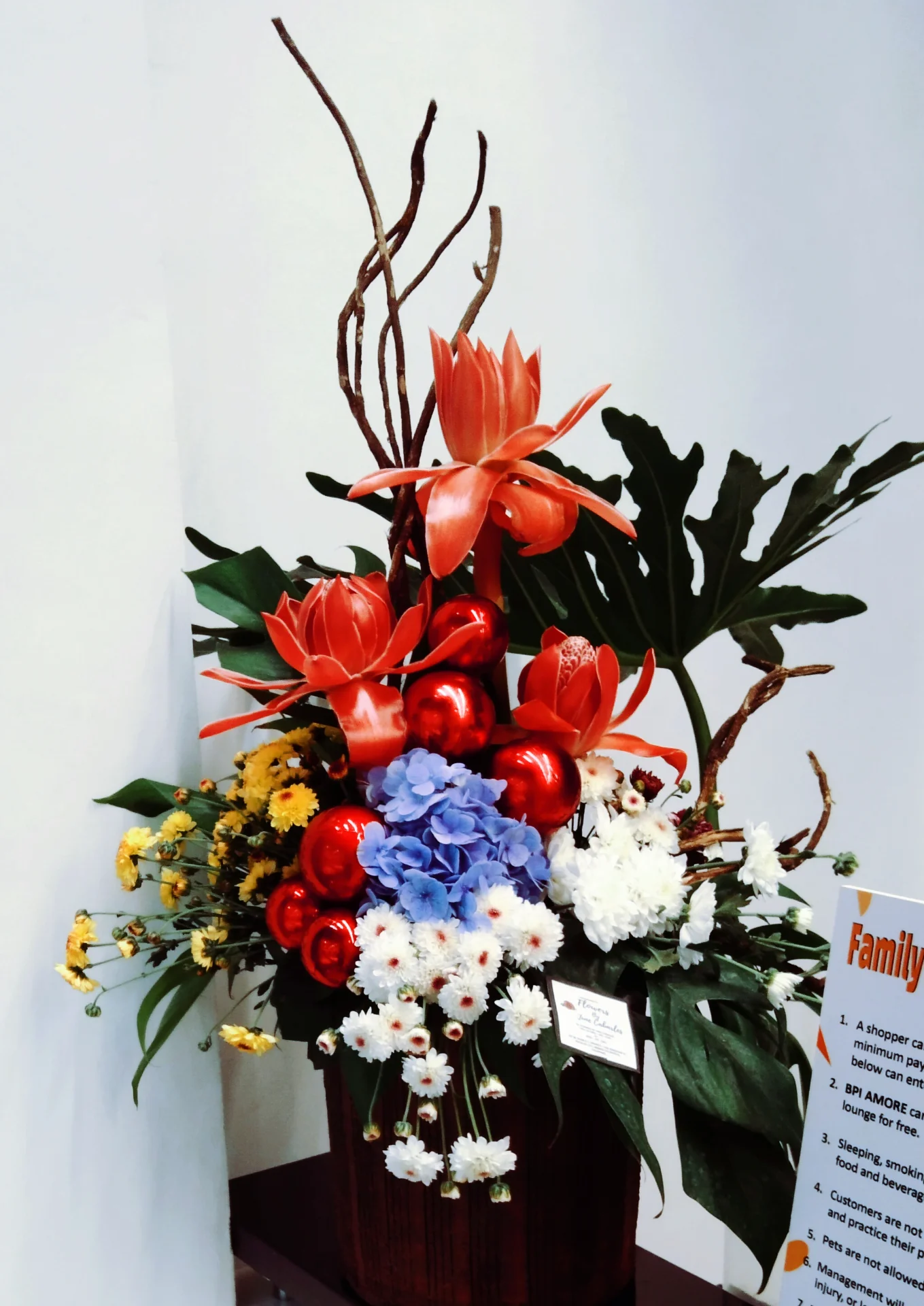 inbound5439915236945323077