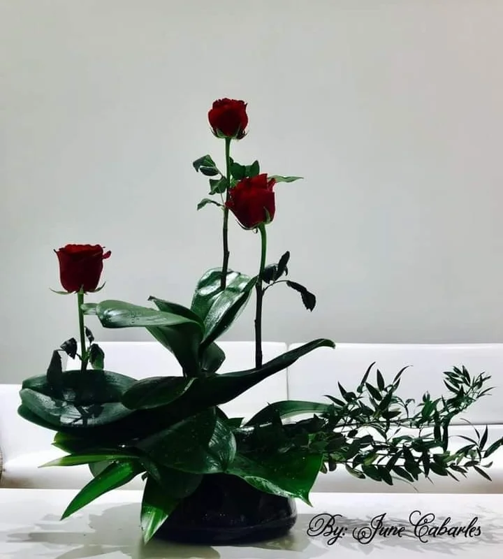 inbound2818332108650942575