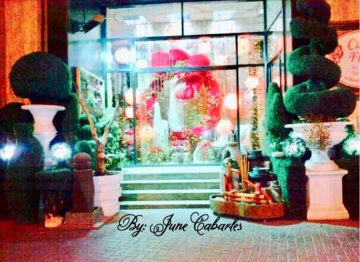 inbound8865657529480736909