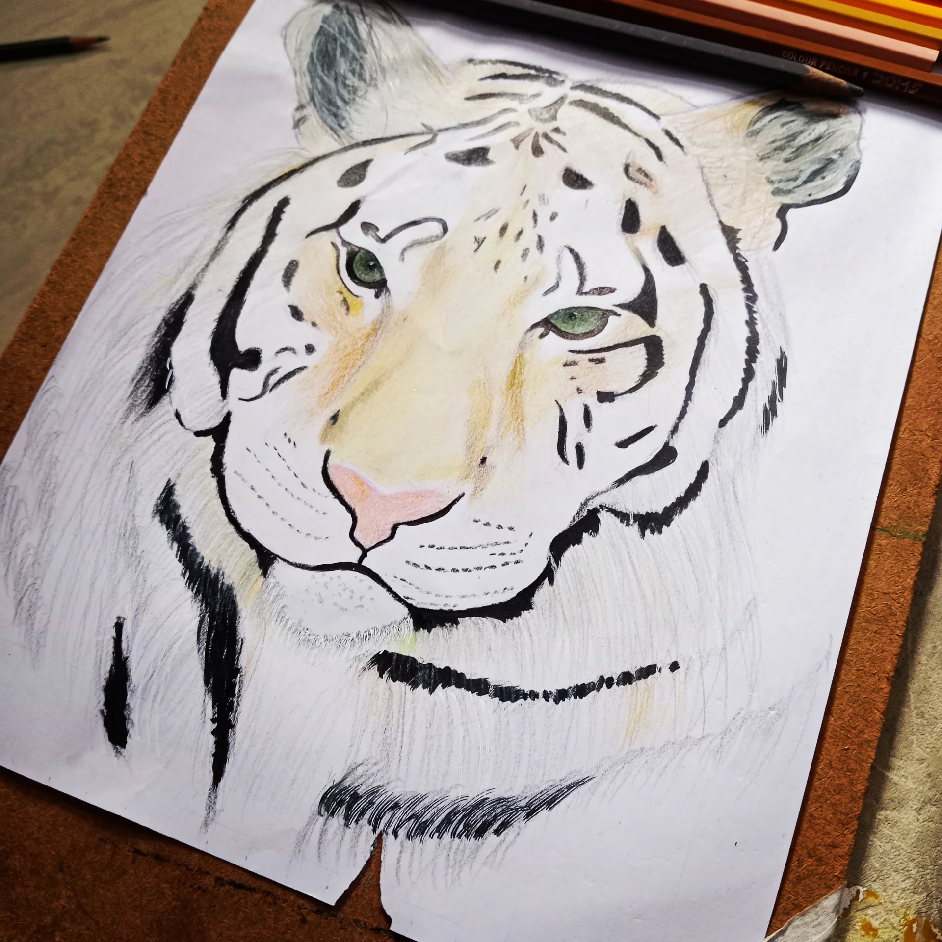 inbound2082526504263457254