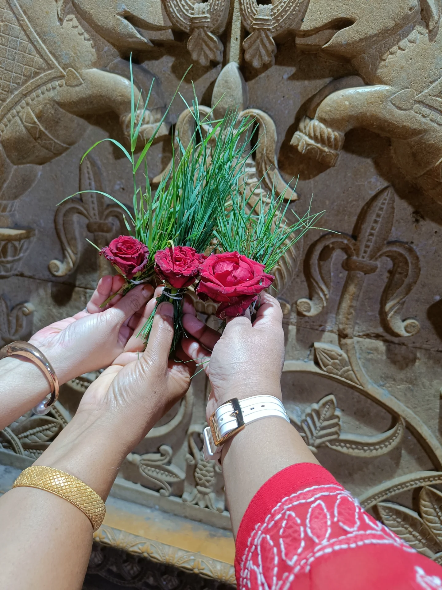 inbound455494827893537431