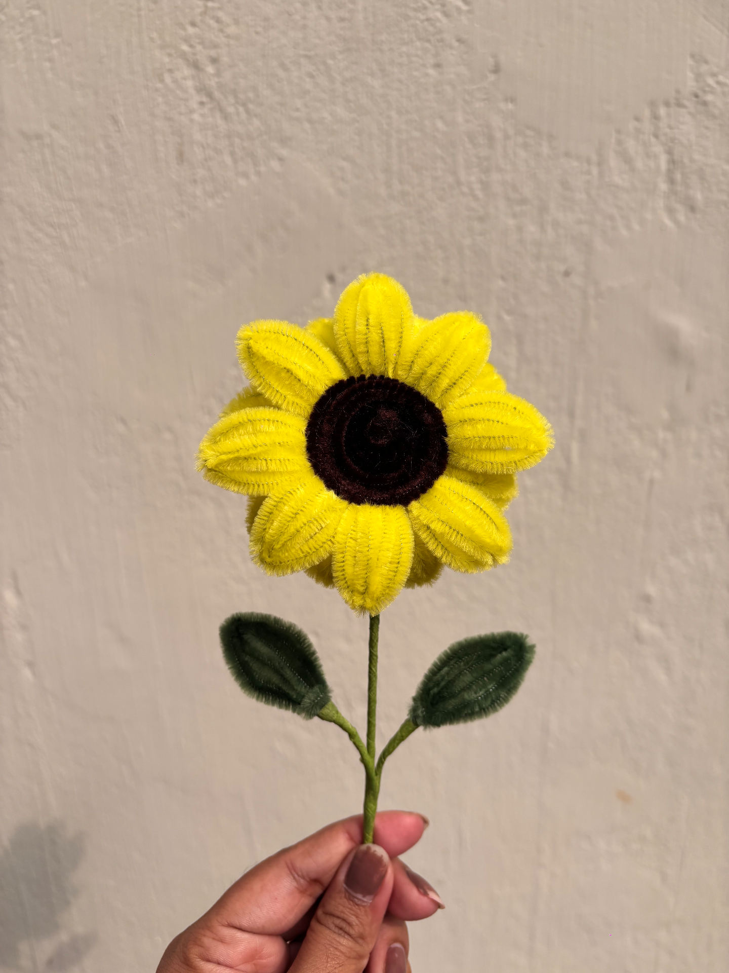 Swarnafied Creations portfolio work