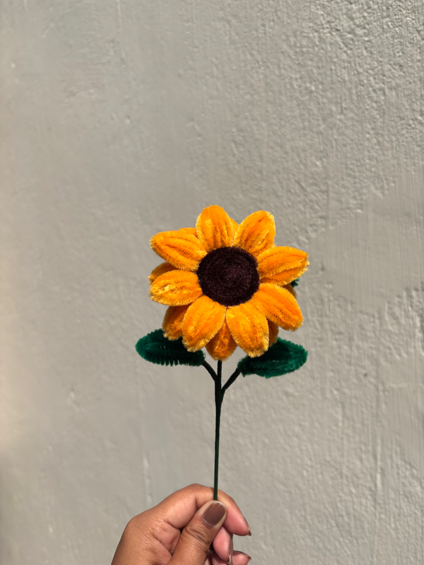 Swarnafied Creations portfolio work