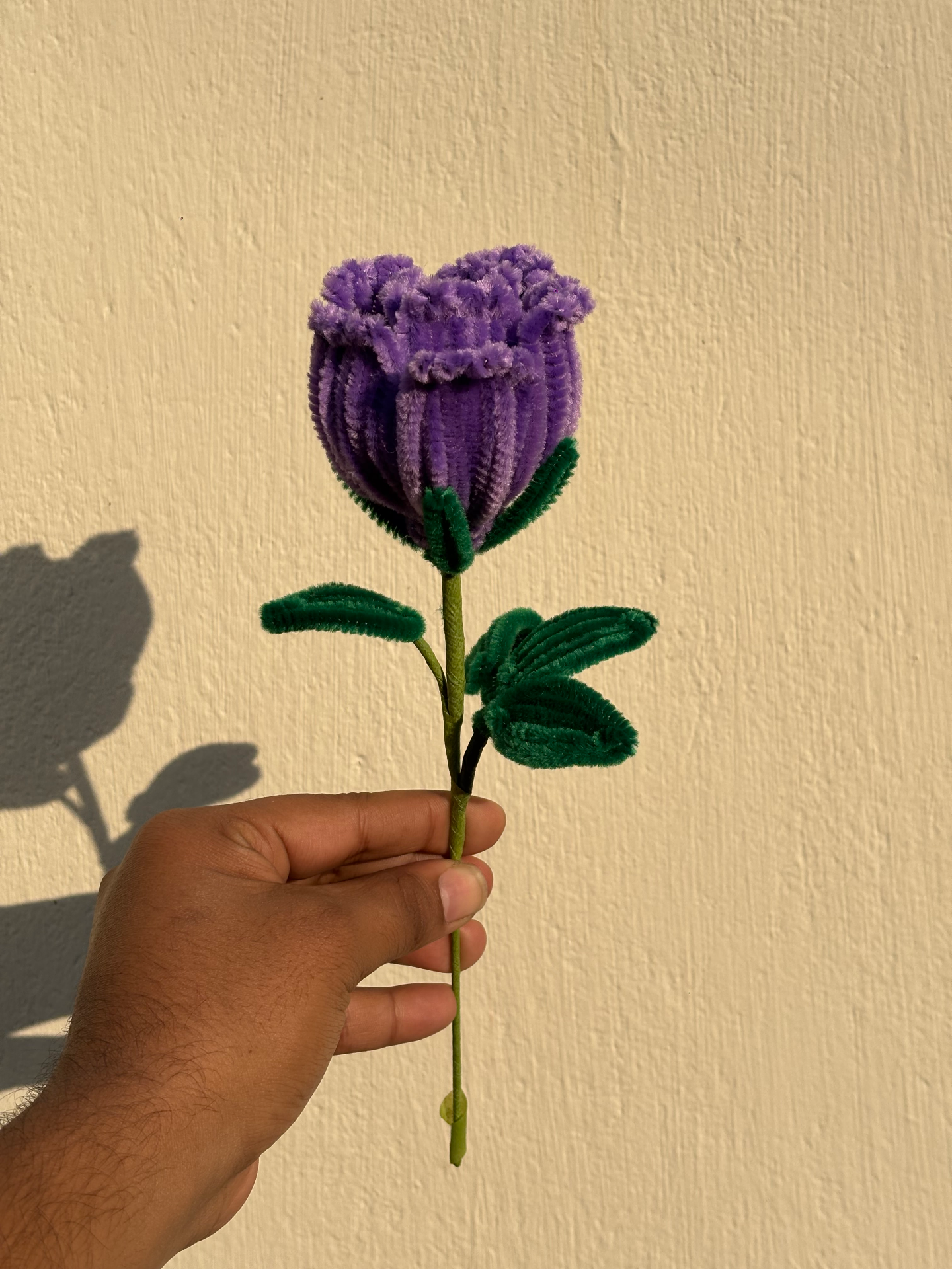 Swarnafied Creations portfolio work