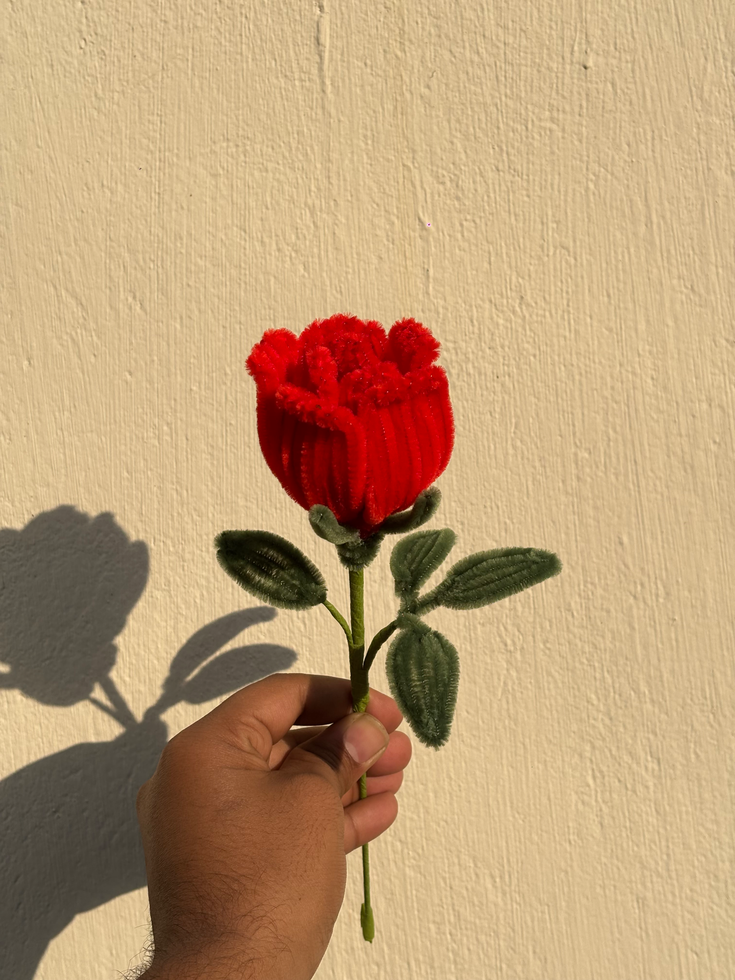 Swarnafied Creations portfolio work