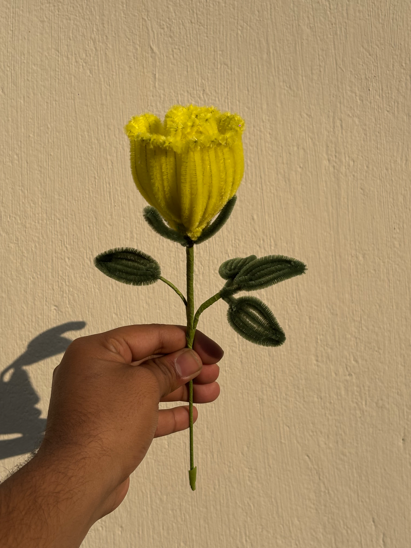 Swarnafied Creations portfolio work