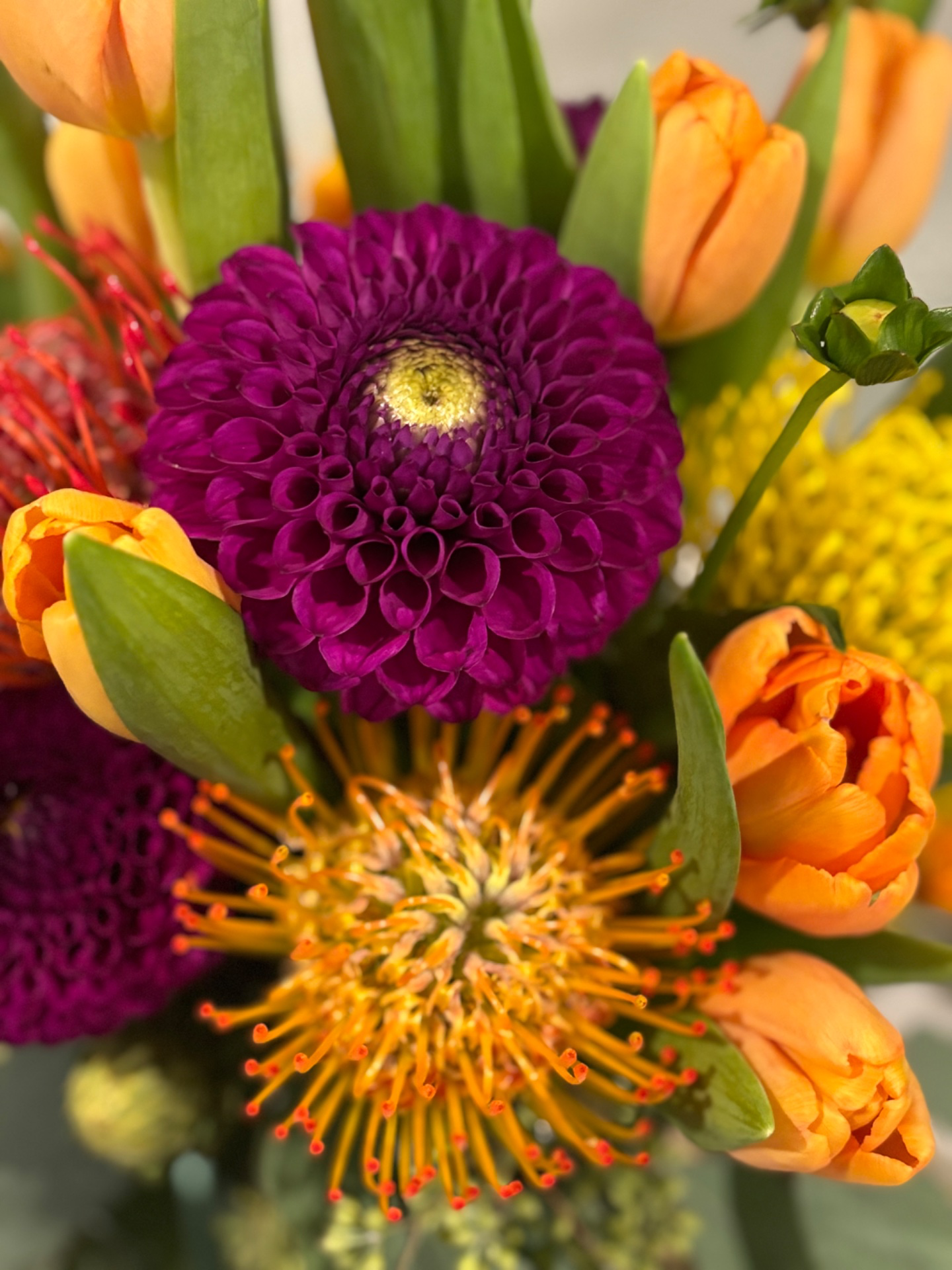 lauren.hoffman7 profile photo