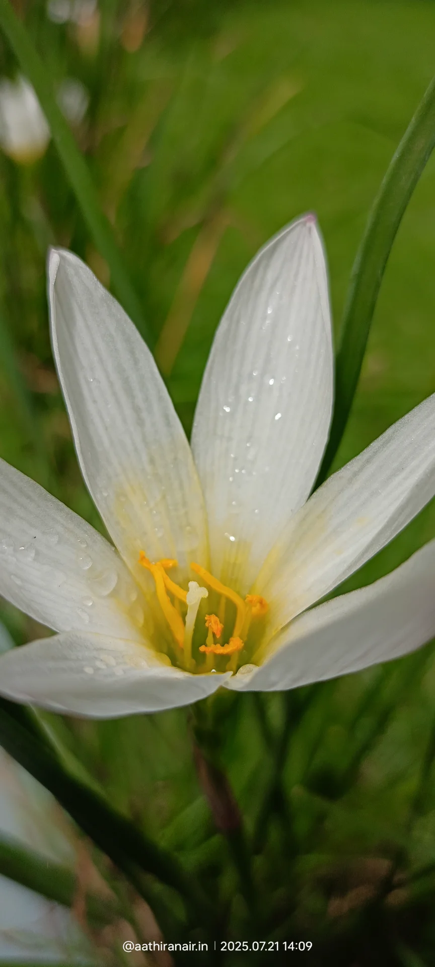 inbound4802127879441099763