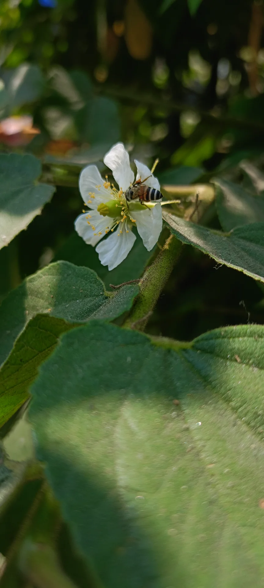 inbound8851394911270657188