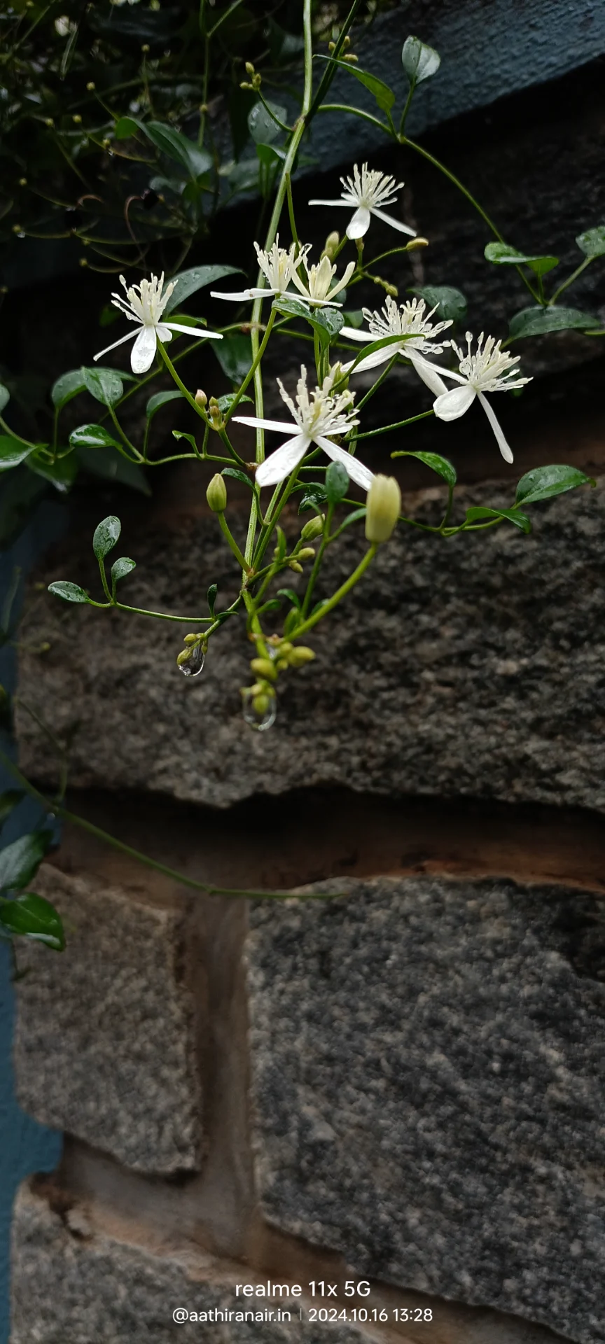 inbound8919051331090332319