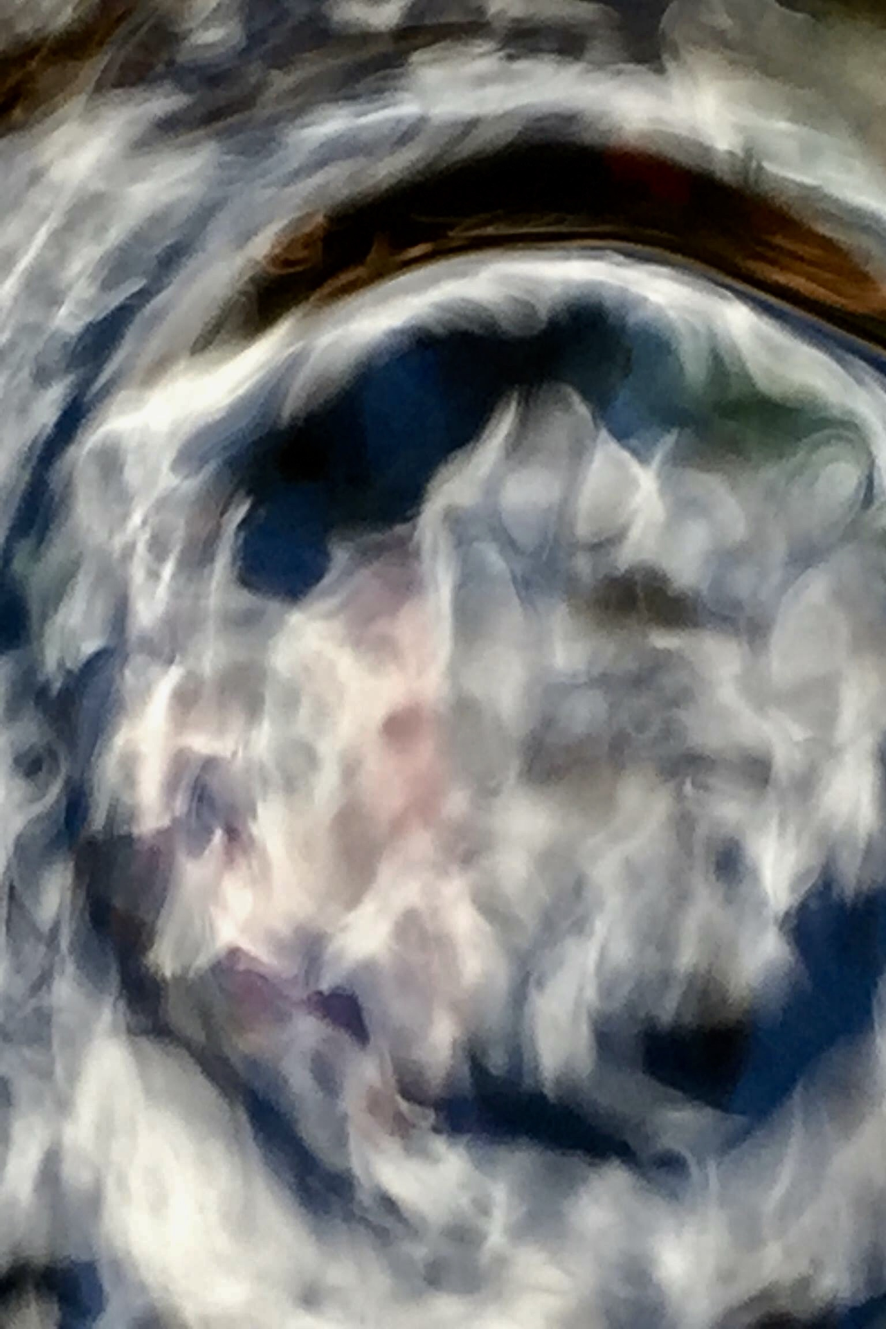 IMG_7890_upscaled_24x36