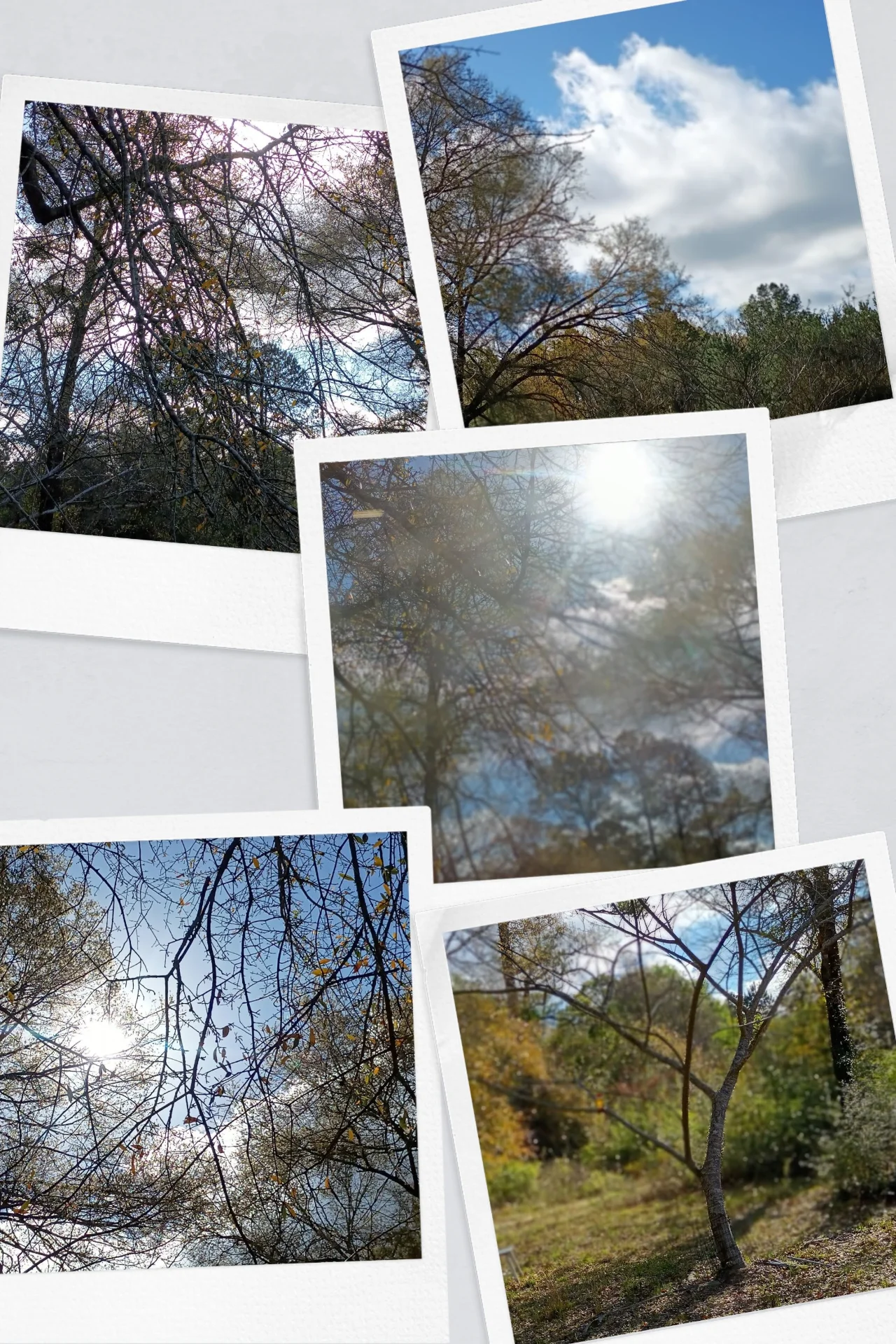 inbound2895242484047199421