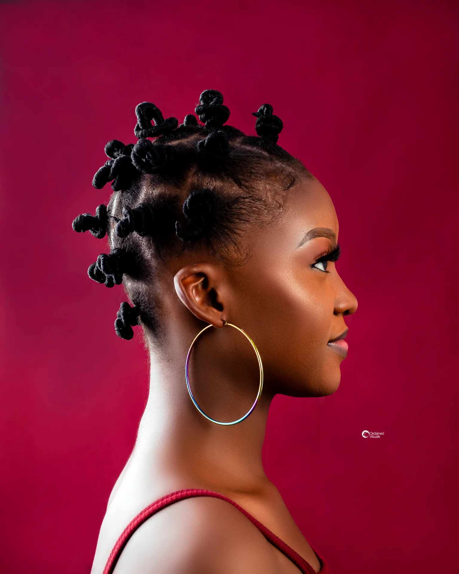 ordainedvisuals portfolio work