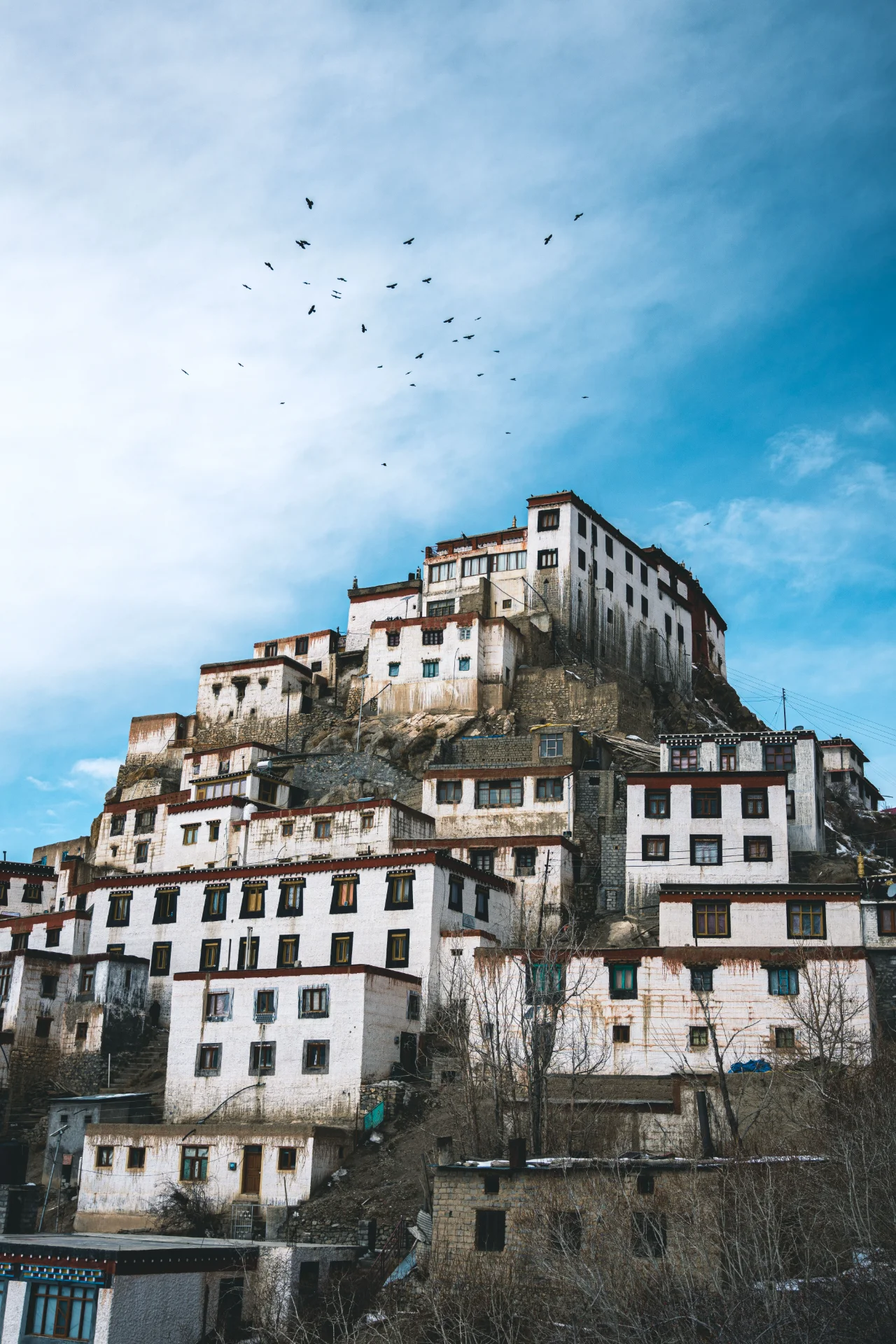 inbound897266571548800362