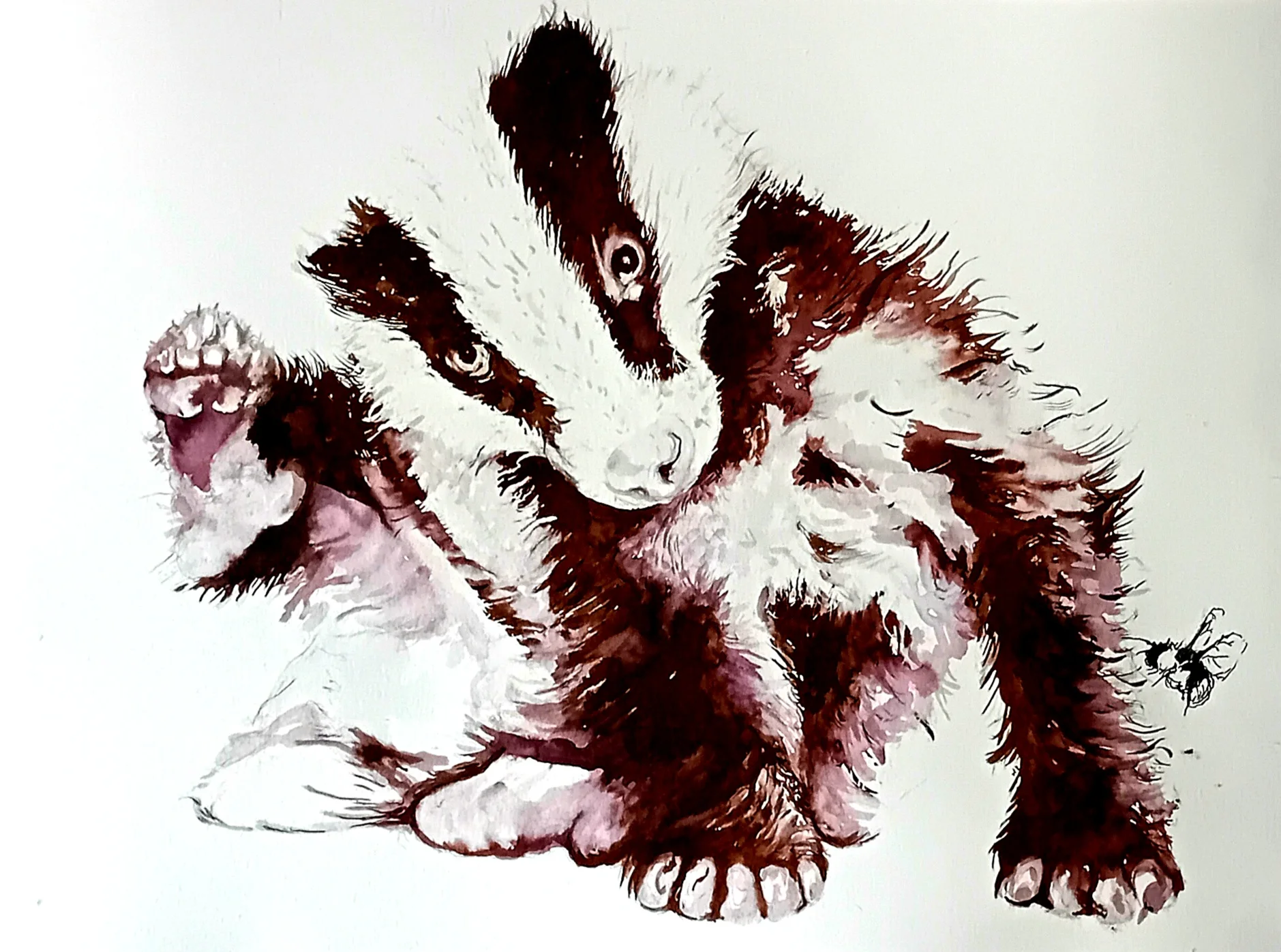 inbound8639338886569721521