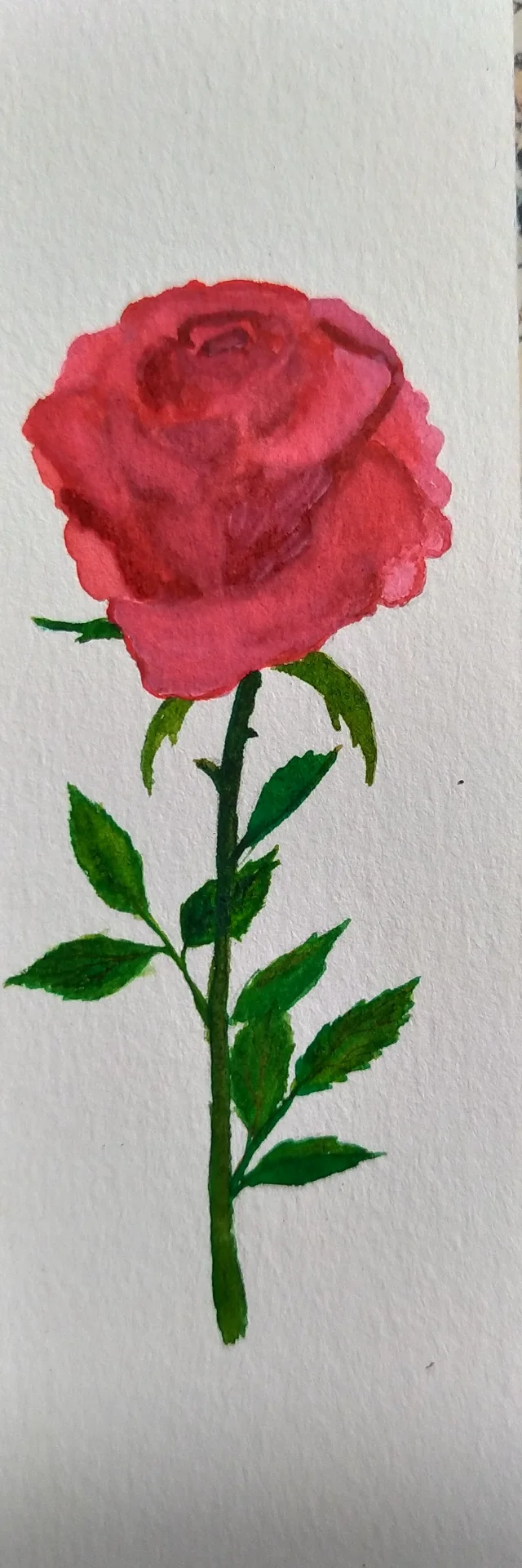 inbound6433276984515006303