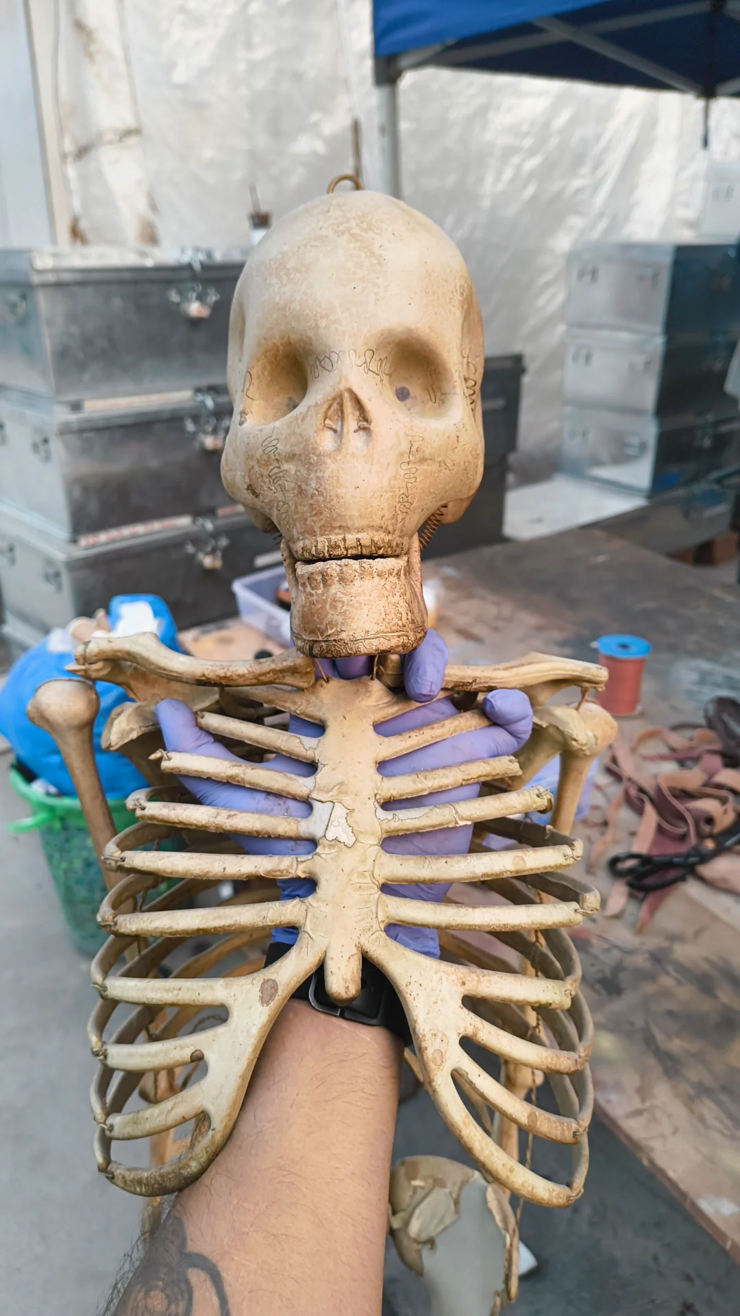 inbound7076745095128440984