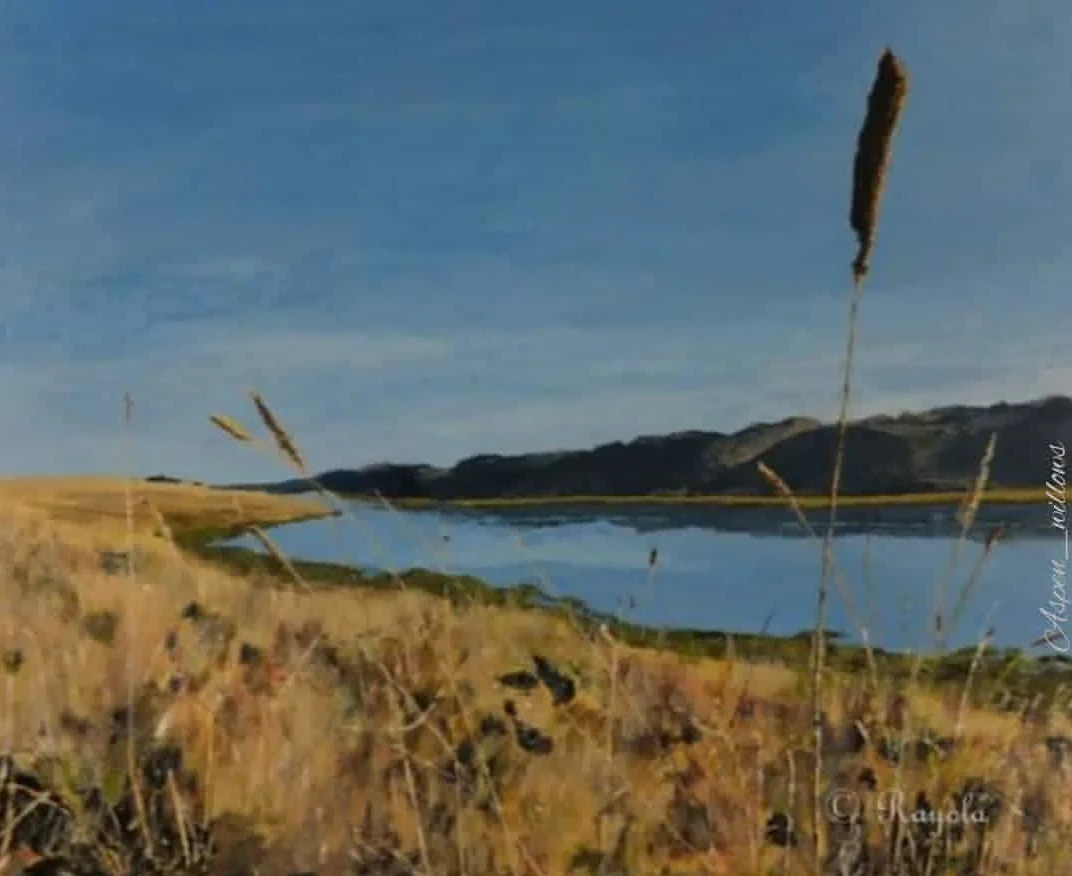 inbound4717989431793960144