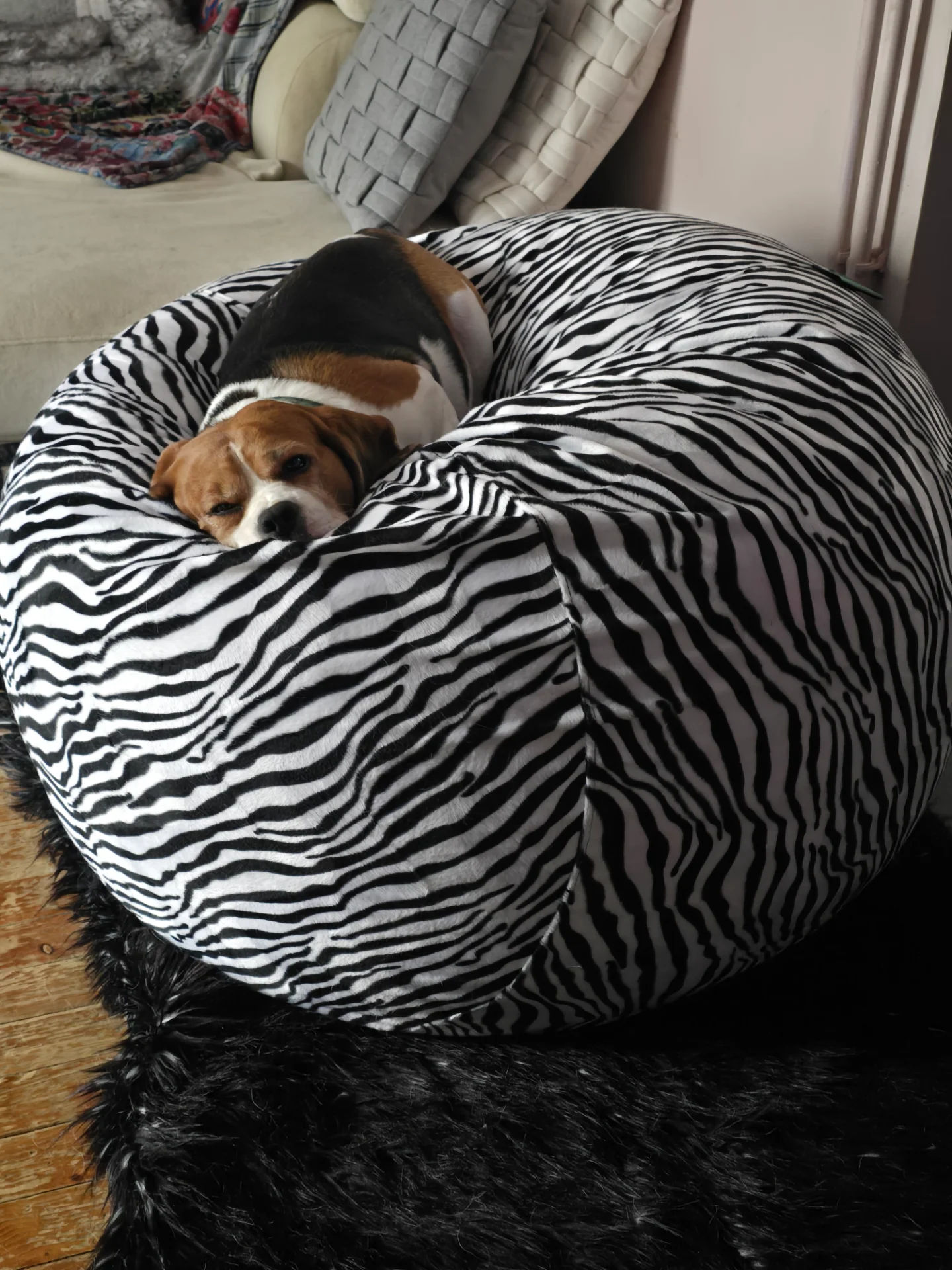 inbound9058982136181772727