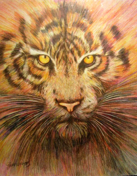 sheehandemetillo portfolio work