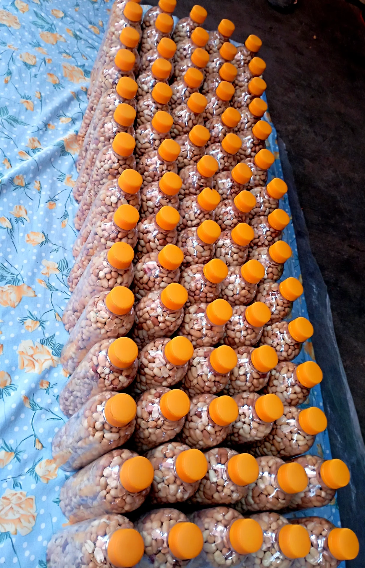 inbound3954178057554082261