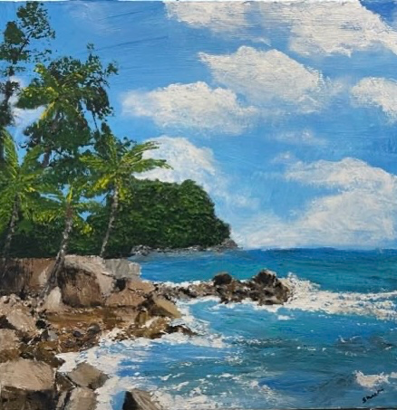 Shanthi Srinivasan  portfolio work