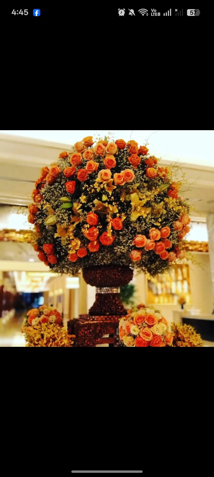 inbound4621553337910682400