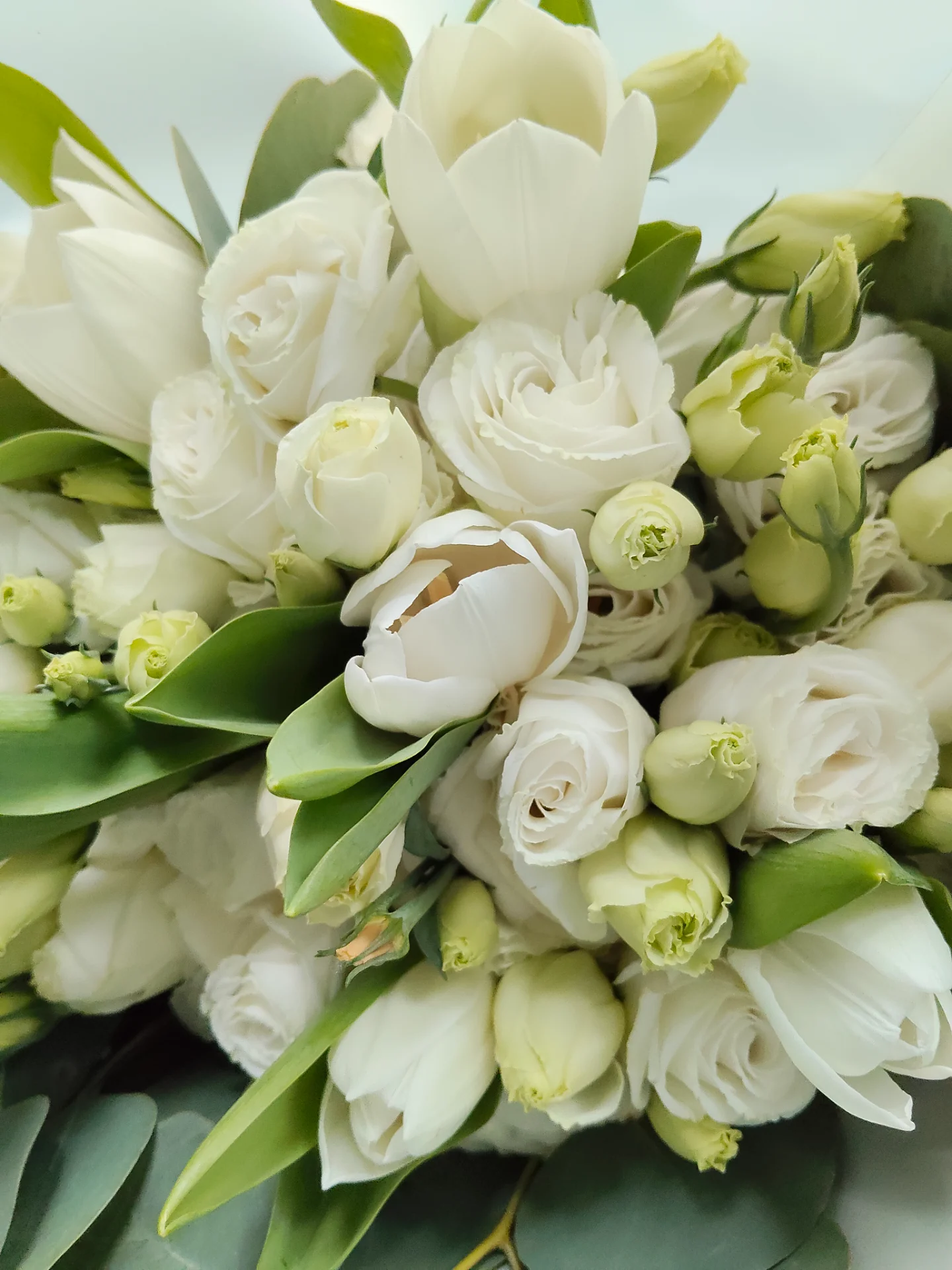 inbound6103859833277271305