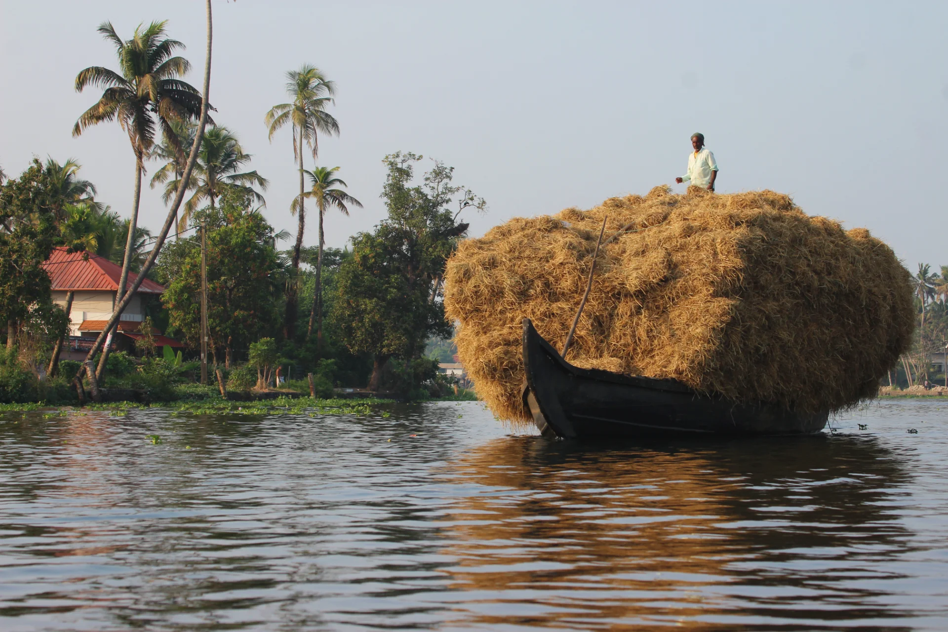 inbound7954316181941172321