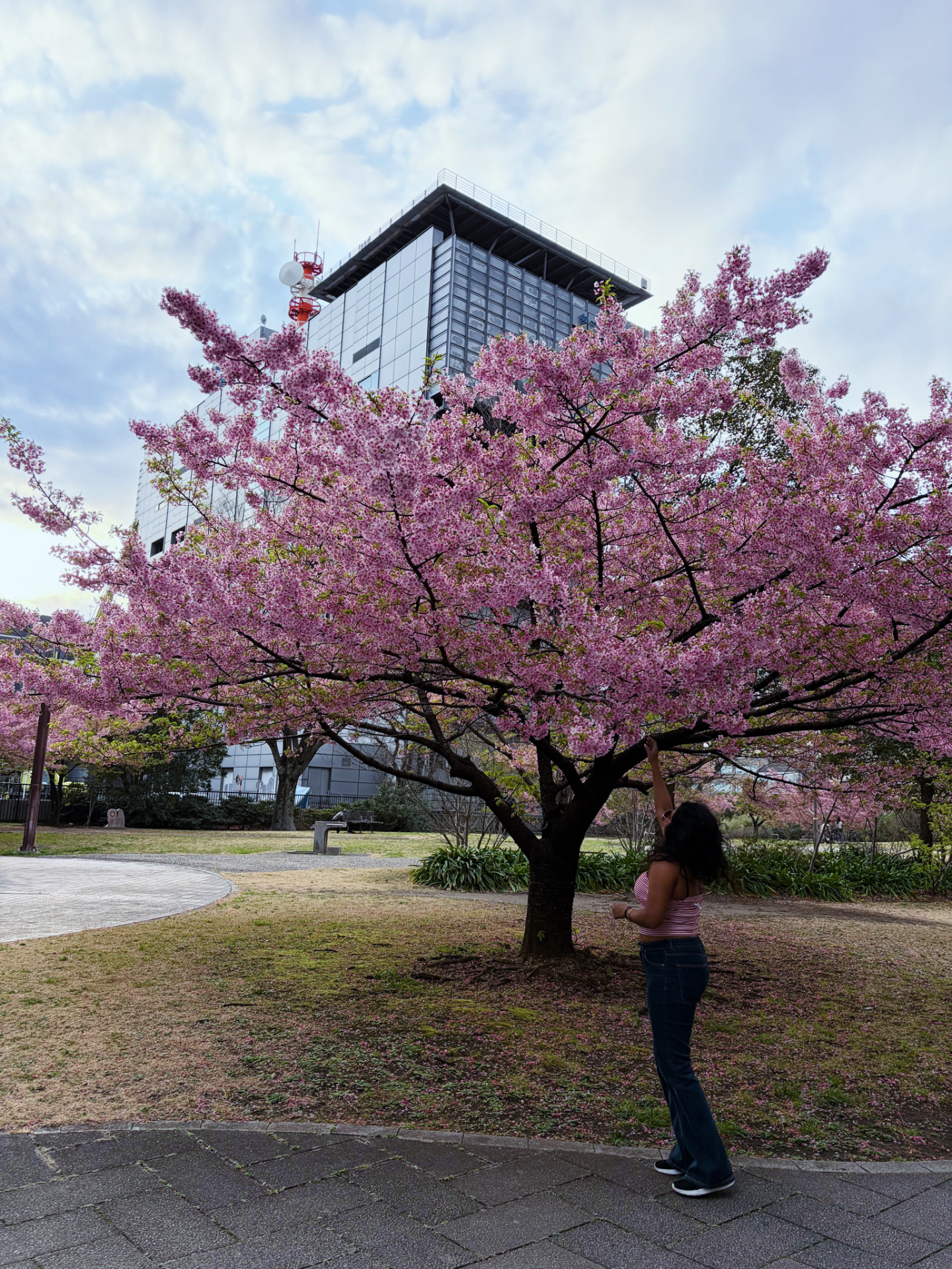 5BE527A9-3C25-4218-A886-FFC63A307641