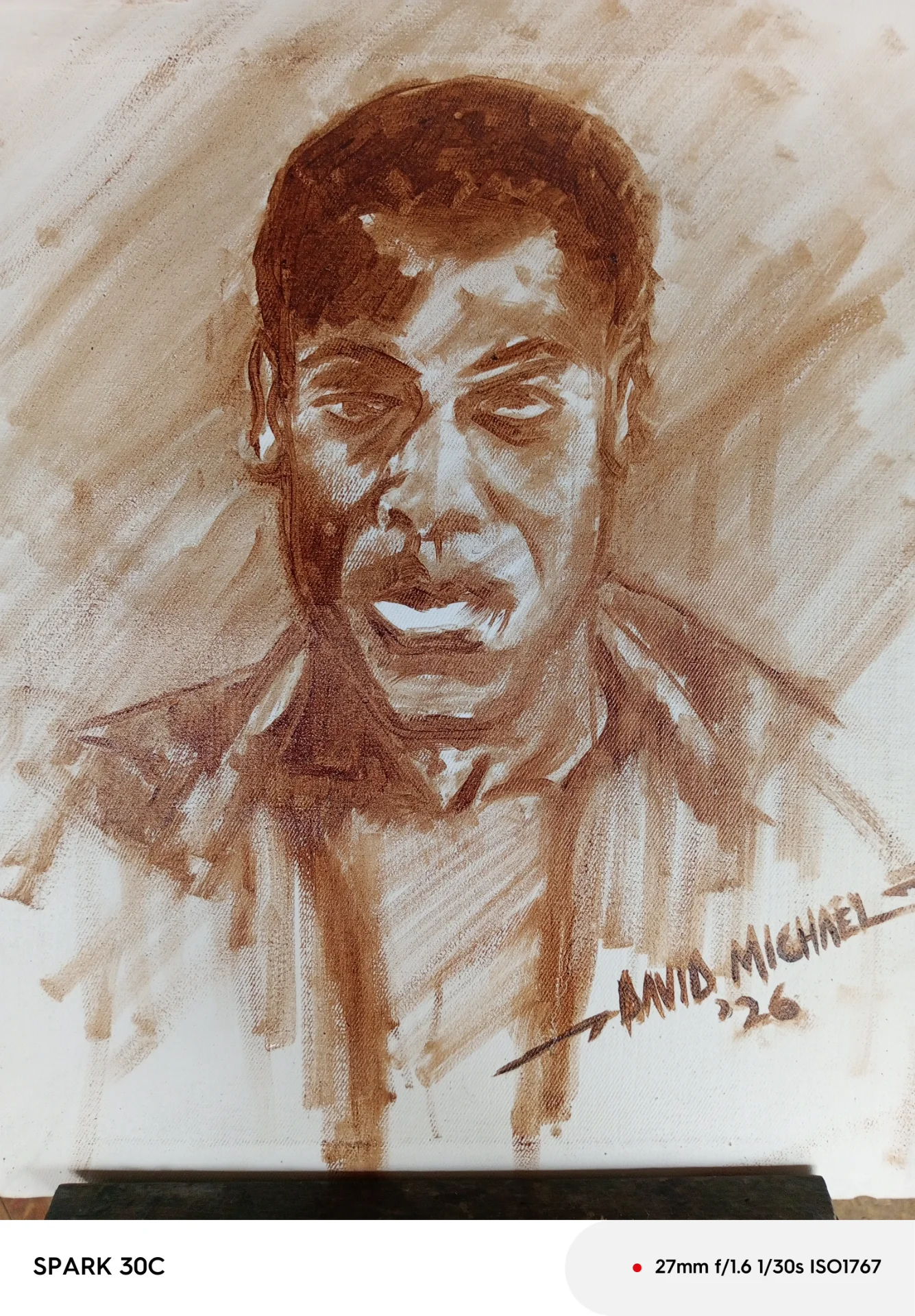 David C. Michael  portfolio work