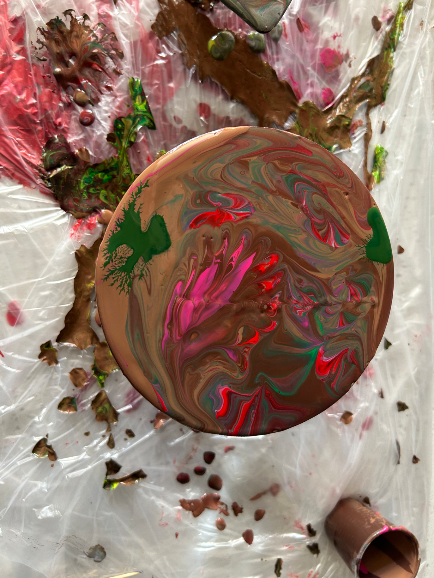 shosi portfolio work