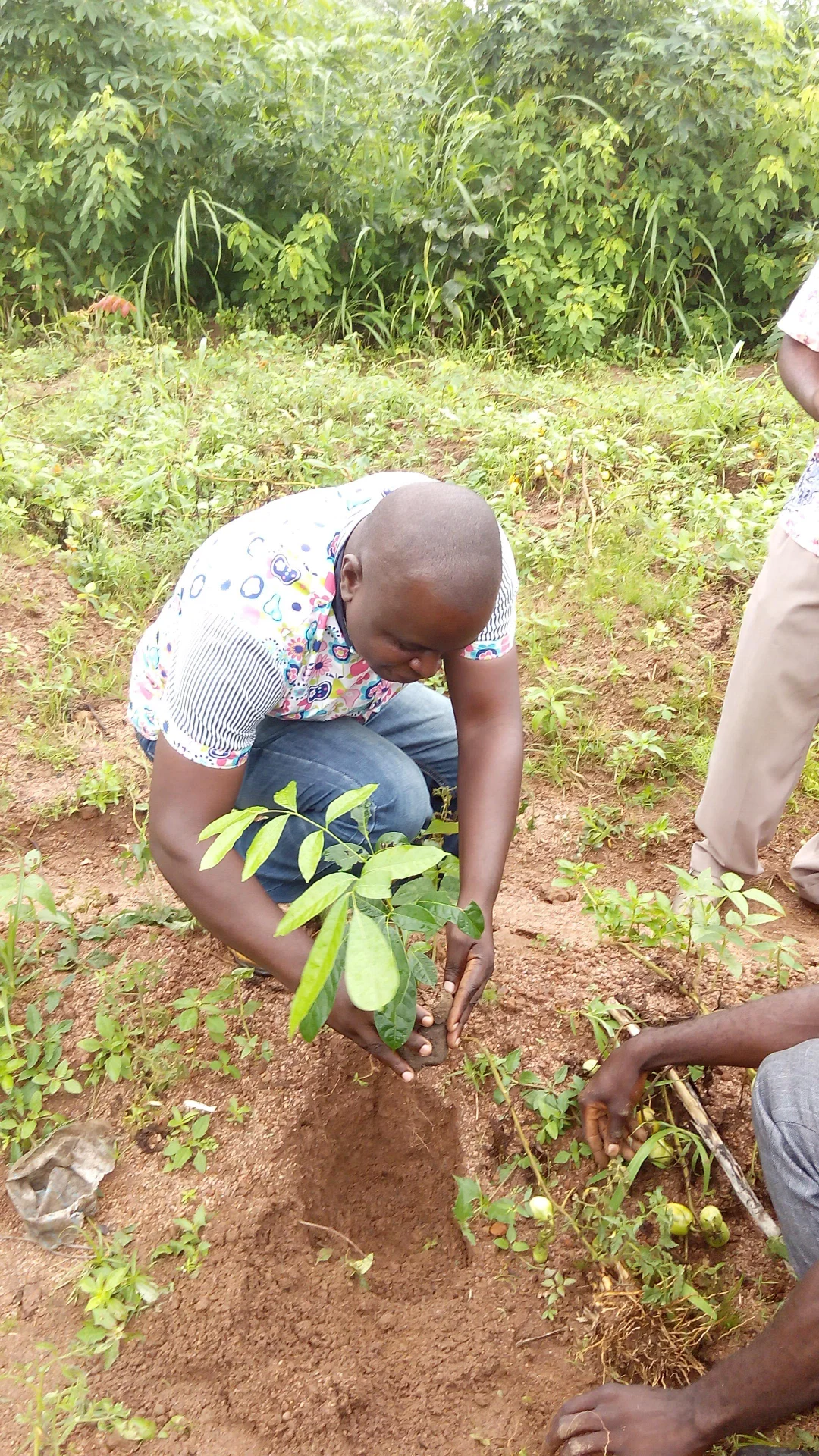 inbound6930827601323448094