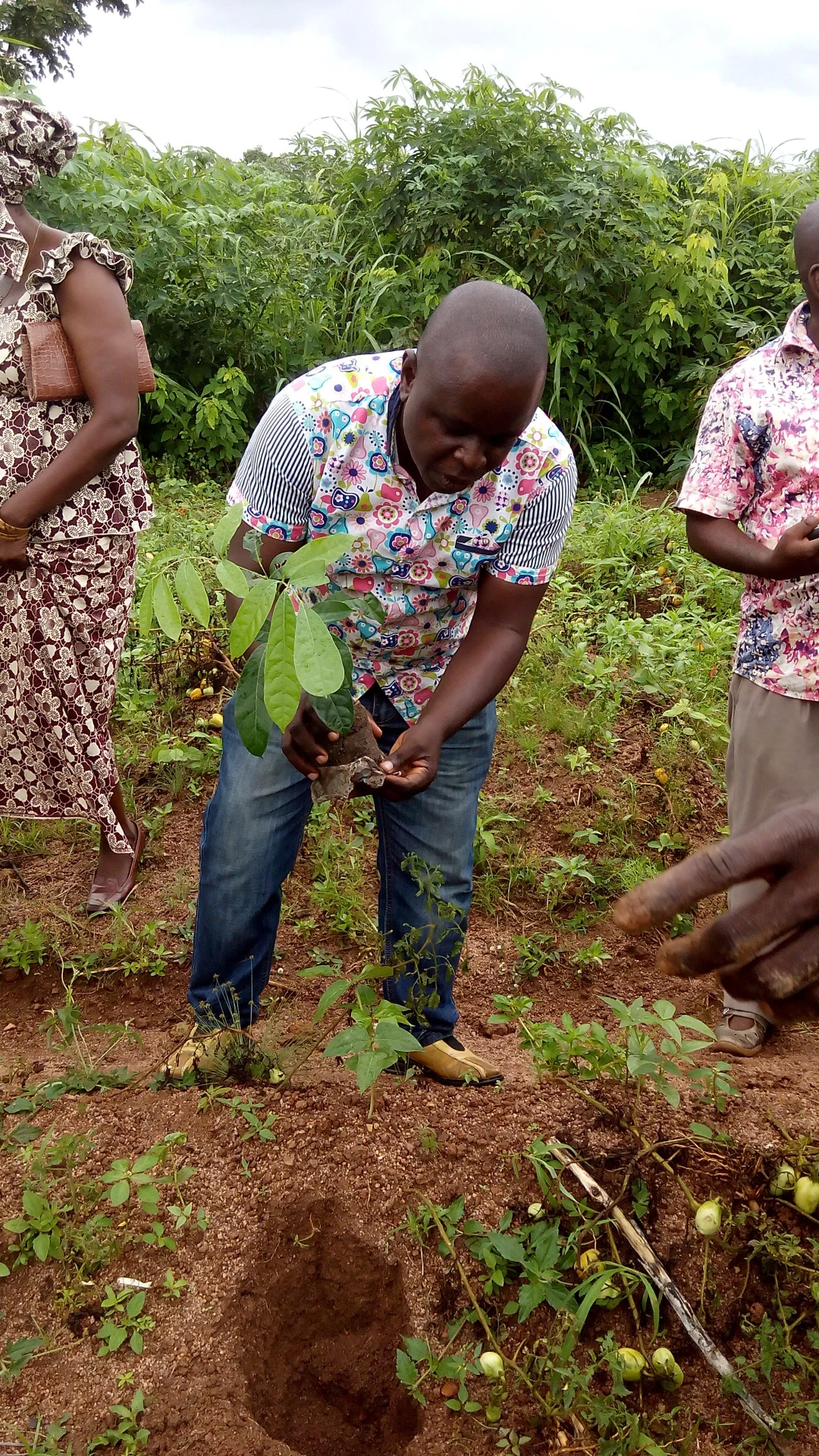 inbound5060698866991111259